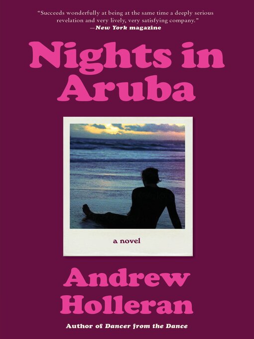 Title details for Nights in Aruba by Andrew Holleran - Available